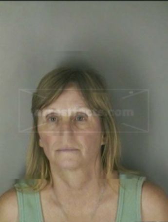 Robin Ann Barnes