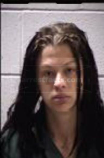 Alicia Ann Palmore