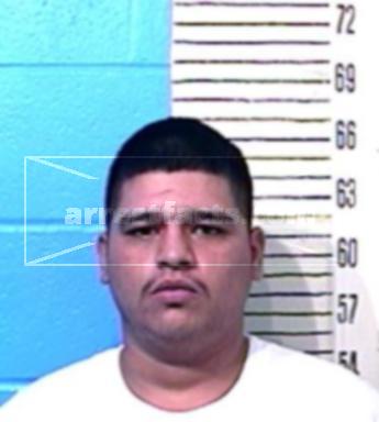 Brian Michael Navarro