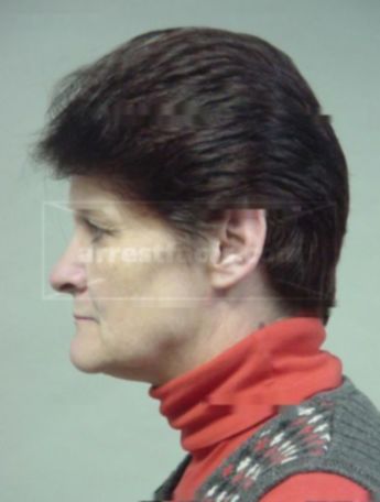 Debra L Seals