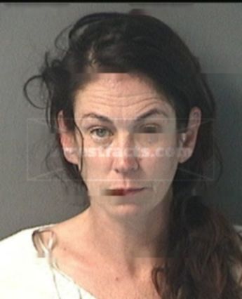 Shannon L Judkins