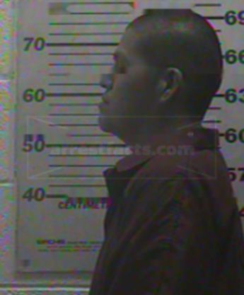 Ricardo Lee Sandman