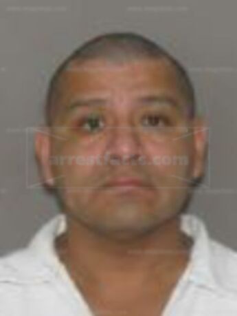 Eddy Munoz Flores
