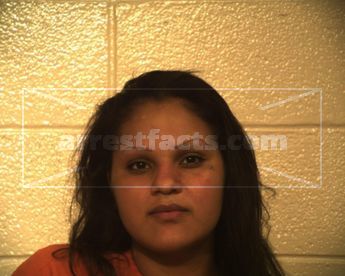 Elizabeth Nicole Foster Galvan