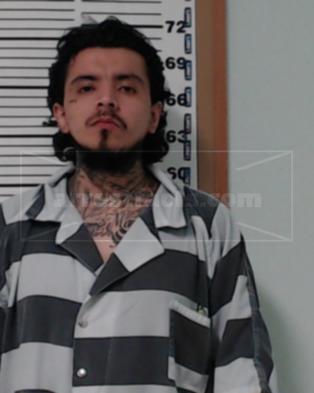 Mario Castillo-Ramirez