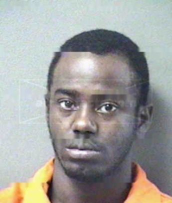 Everett Lamar Johnson