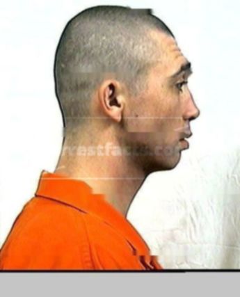 Michael Lewis Emery
