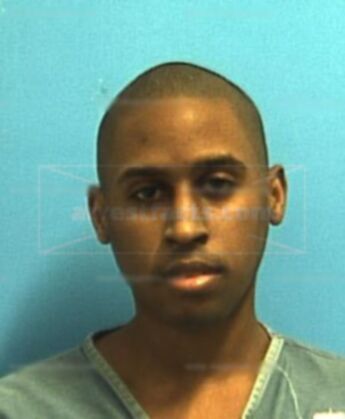 Damian L Johnson