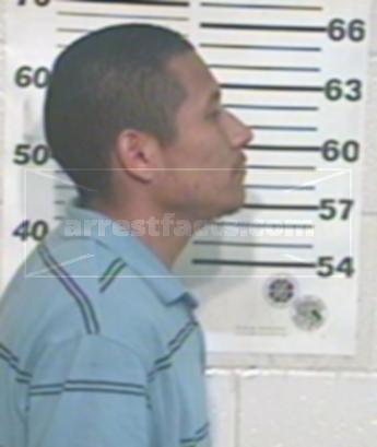 Mauricio Jr Flores Perez