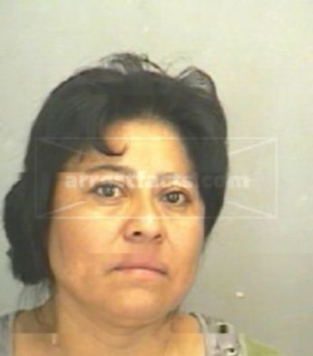Minerva Bustamante Ramirez