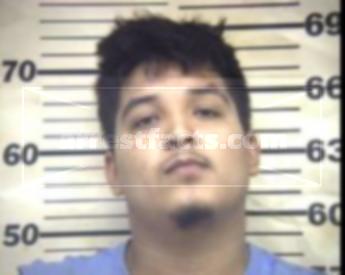 Mario Javier Mireles