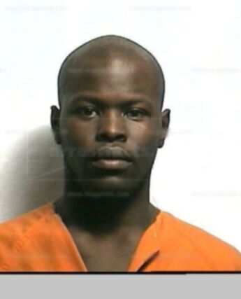 Michael Francis J Davis