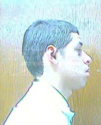 Anthony A Ricks