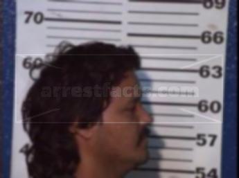 Luis Eduardo Villareal Garcia