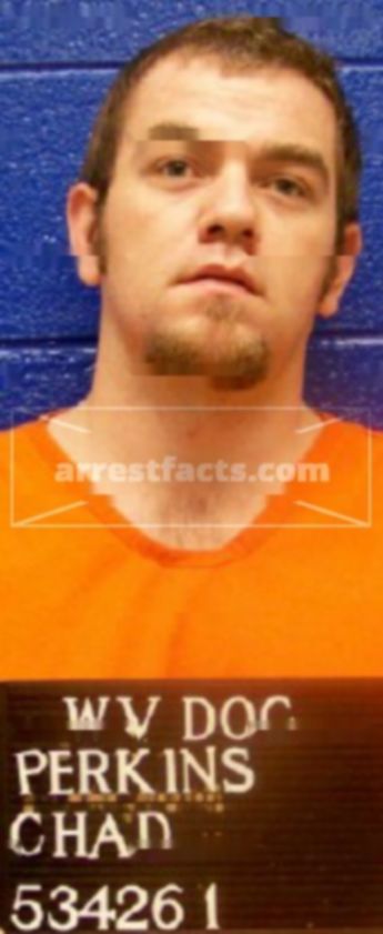 Chad Michael Perkins