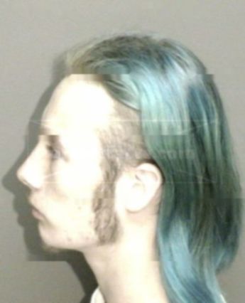 Robert Earl Simmons Ii