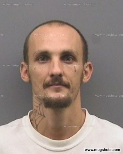 Wayne E Brier Jr.