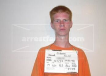 Jared David Gibson