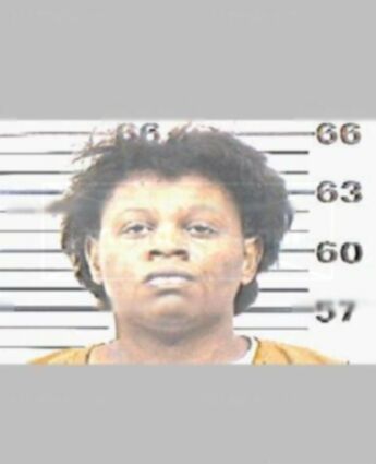 Yolanda C Lott