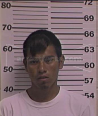 Hector Martin Flores