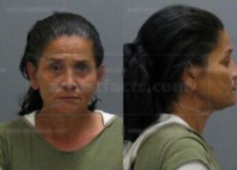 Elizabeth P Perez Velazquez