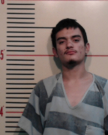 Sebastian Alexis Martinez