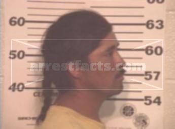 Pedro Limon Hernandez Torres