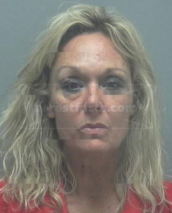 Sandi Ann Collins