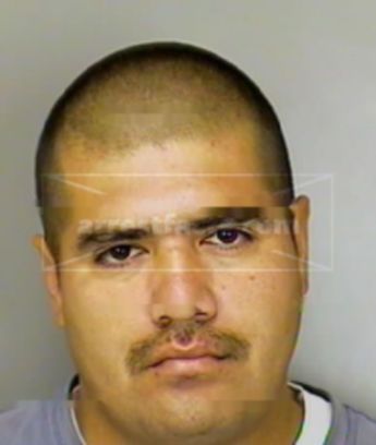 Carlos Gonzales