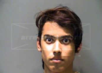 Andrew C Waver