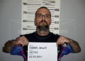 Shane Casey