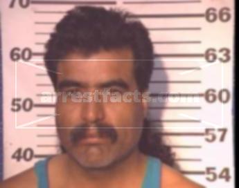 Andres Luna Ibarra