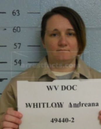 Andreana J Whitlow