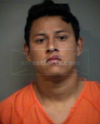 Denis Alvarez