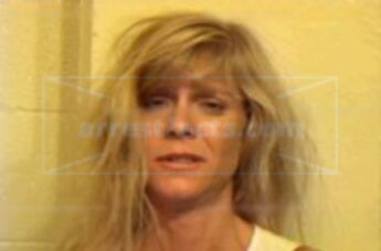 Lisa Spaulding Wheeler