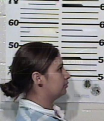 Haydee Navarro Ramirez