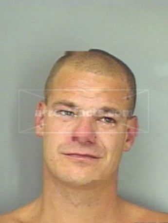 Tracy Palmer Baughman