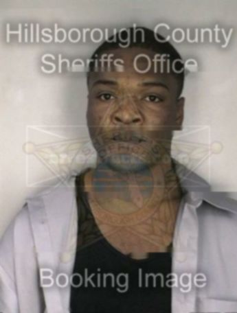 Kenneth A Crews