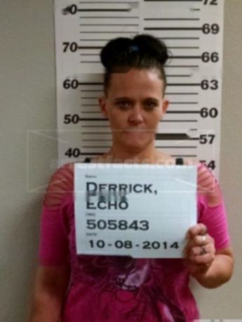 Echo Derrick