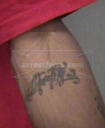 Michael T Thompson