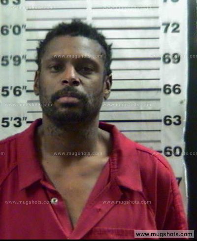 Thomas D Hill
