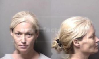 Brandi Renee Jenkins