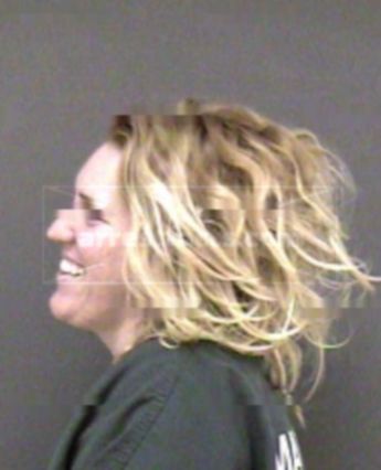Laura L Briner