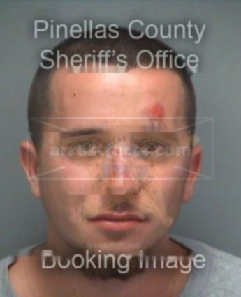 Brian Wolcott Reed