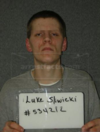 Luke E Sliwicki