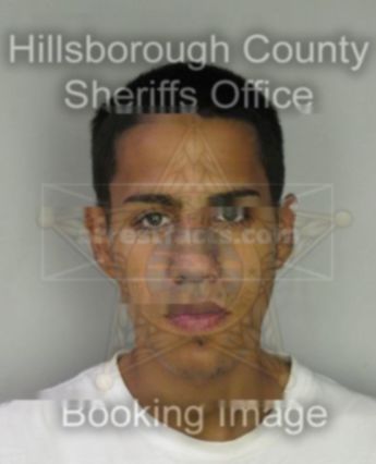 David Navarro Jr.