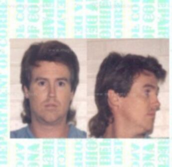 David William Nelson Ii