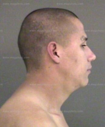 Mike Salinas Jr.