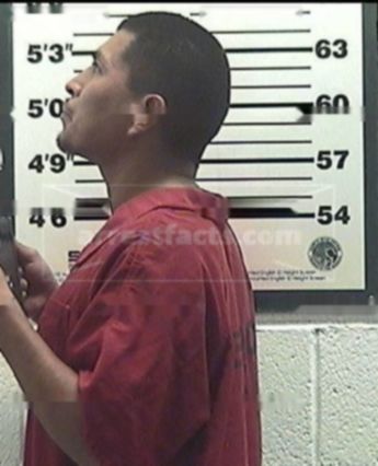 Linden Troy Qualo