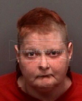 Carol Lee Ervin